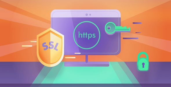 Really Simple SSL Pro İndir