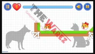 Premium Doge Lover - HTML5 Oyunu İndir