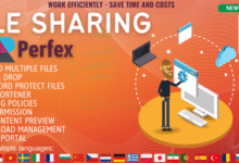 Dosya Paylaşım Scripti İndir 2025